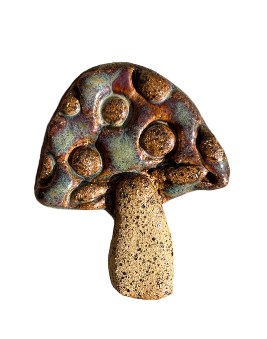 Mushroom Magnet