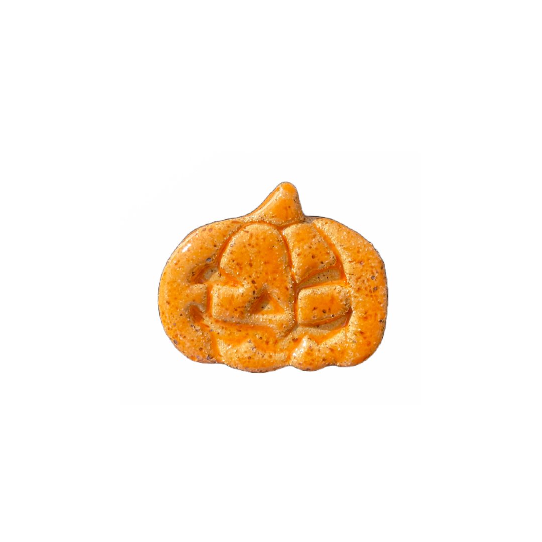 Pumpkin Magnet