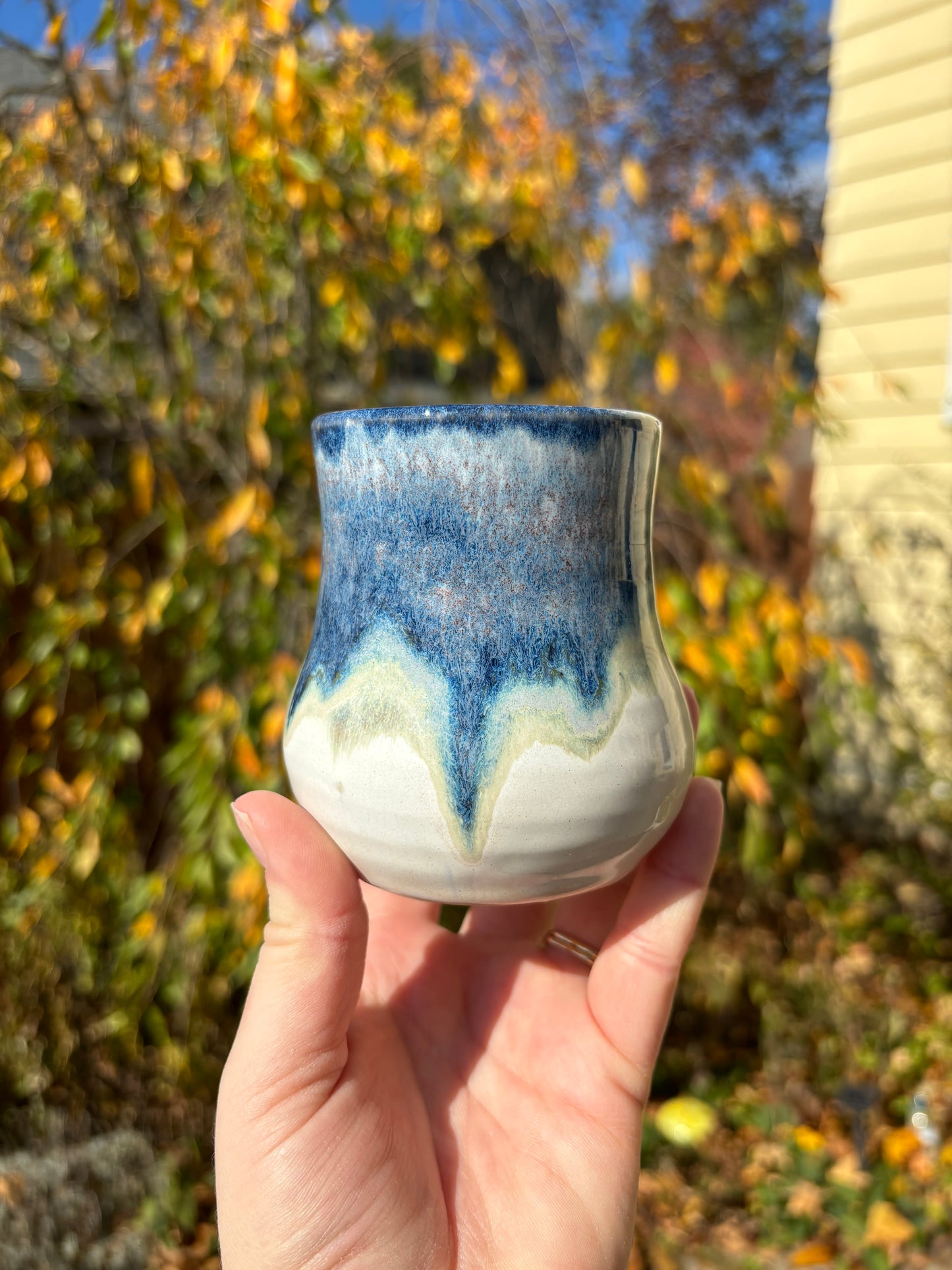 Wine Cup
