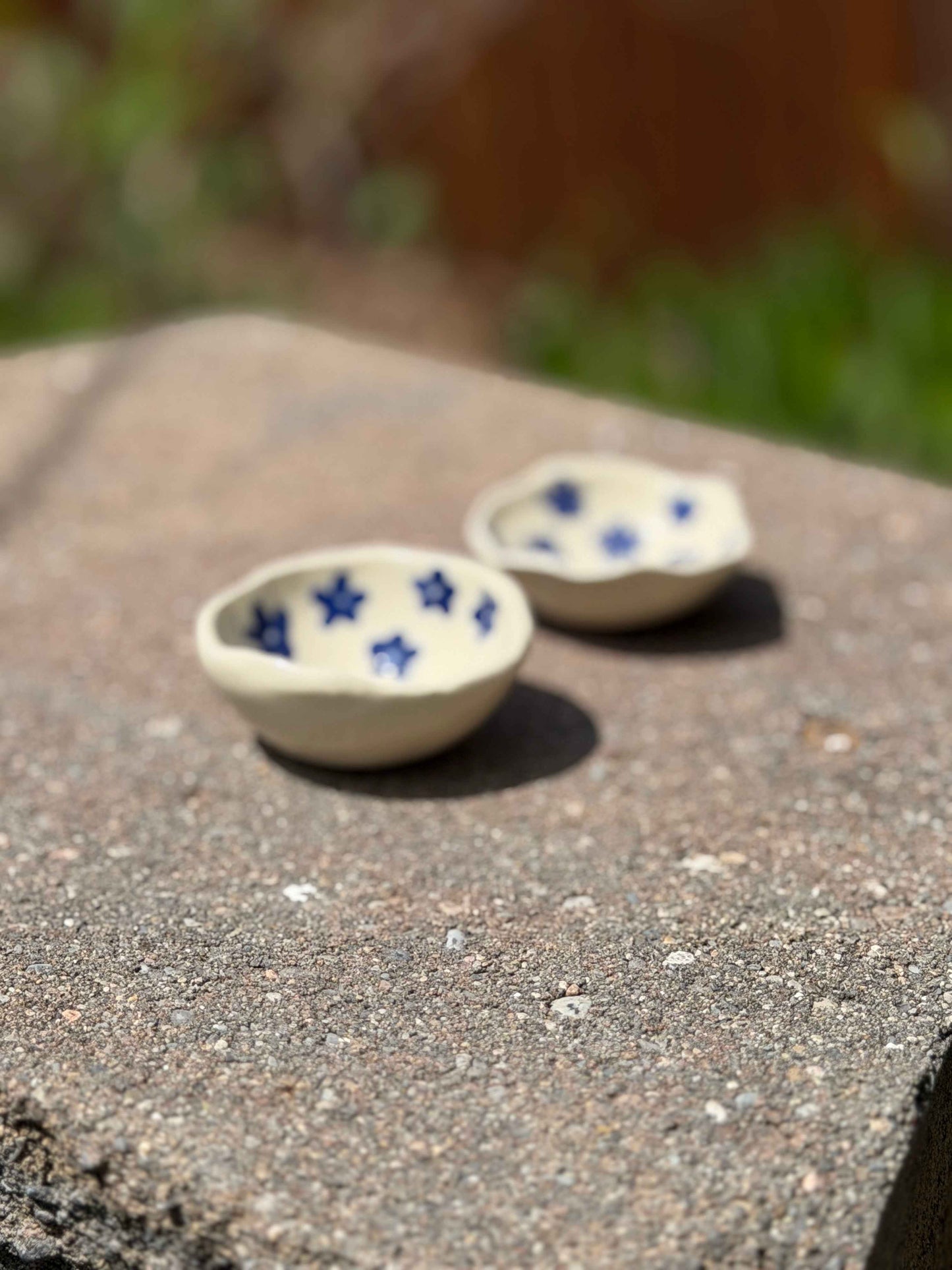 Flwr pwr ring dish
