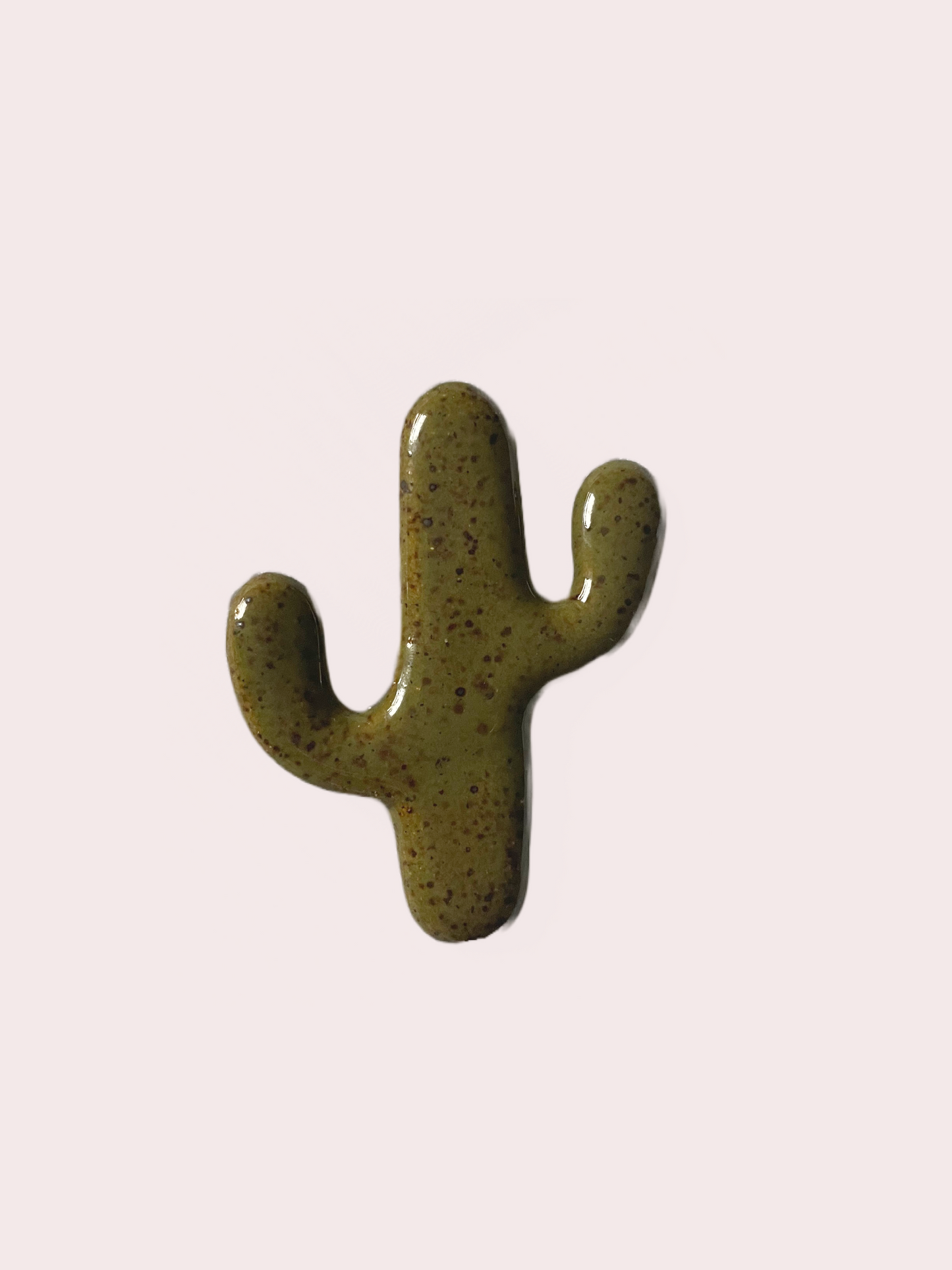 Cactus Magnet