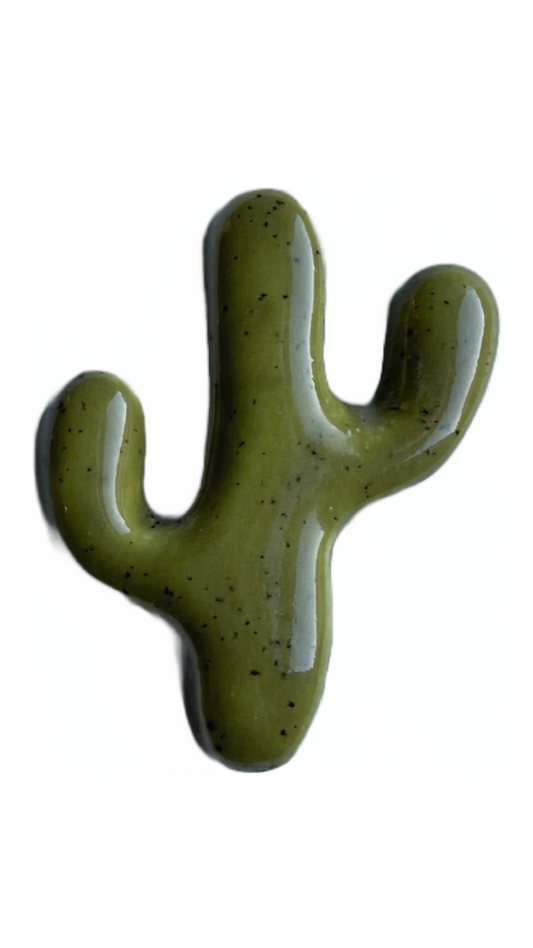 Cactus Magnet