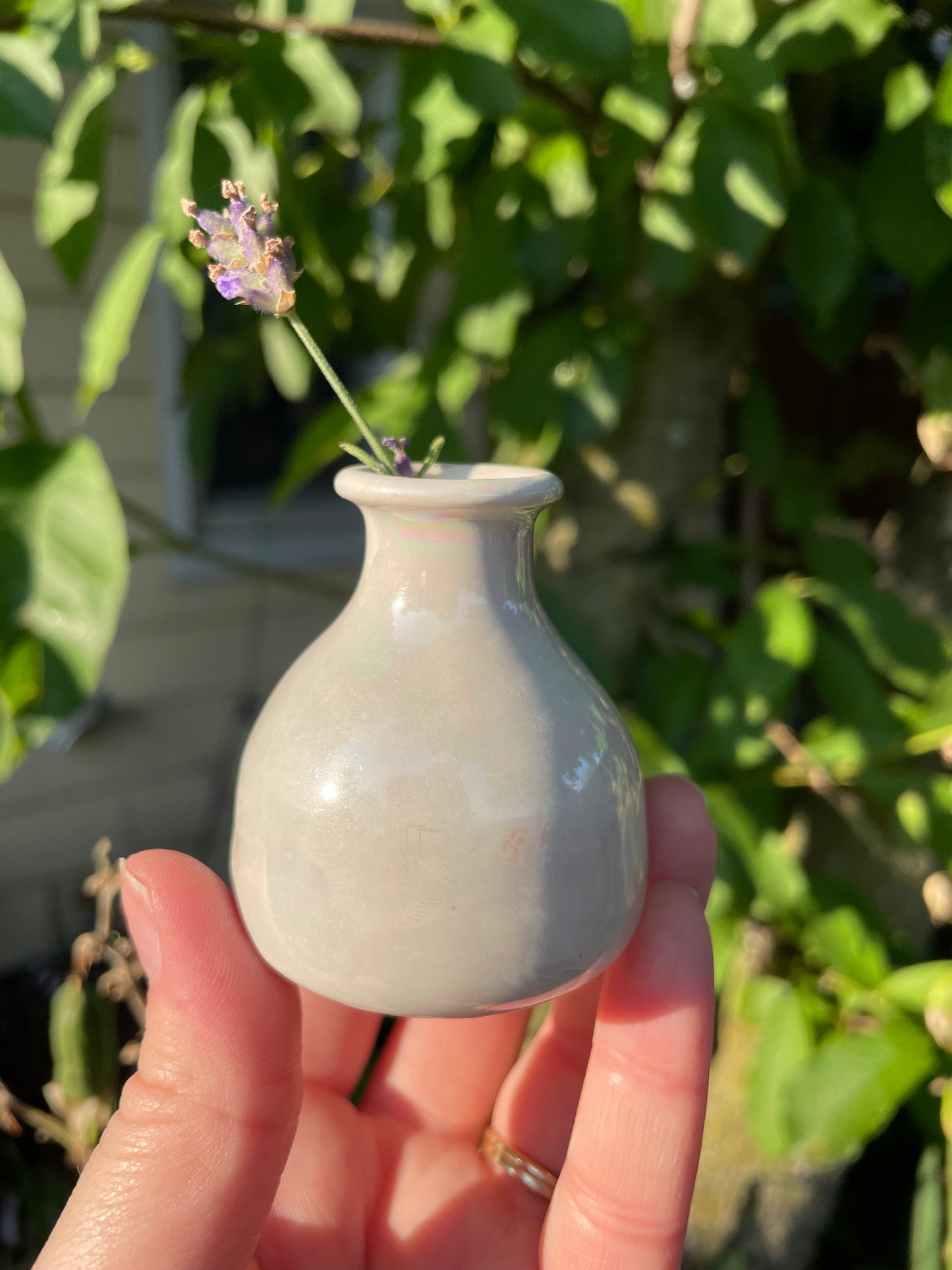 Mini Luster Pot